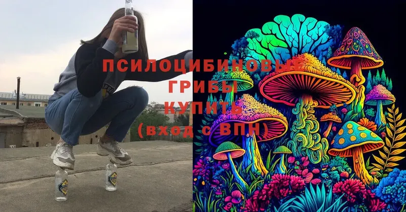 Псилоцибиновые грибы MAGIC MUSHROOMS  Камешково 